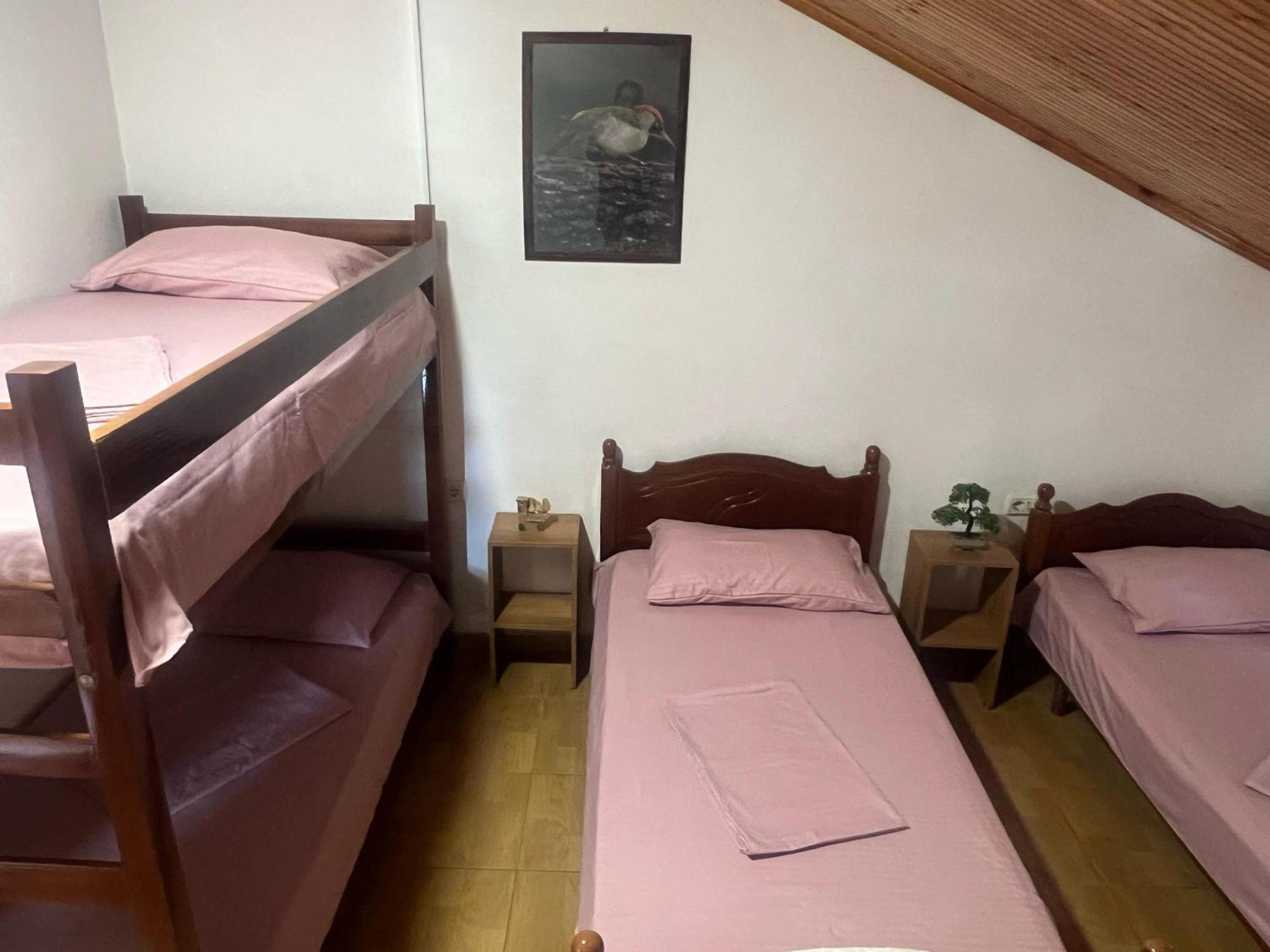 Happy Corner Guest House Shkodër Dış mekan fotoğraf