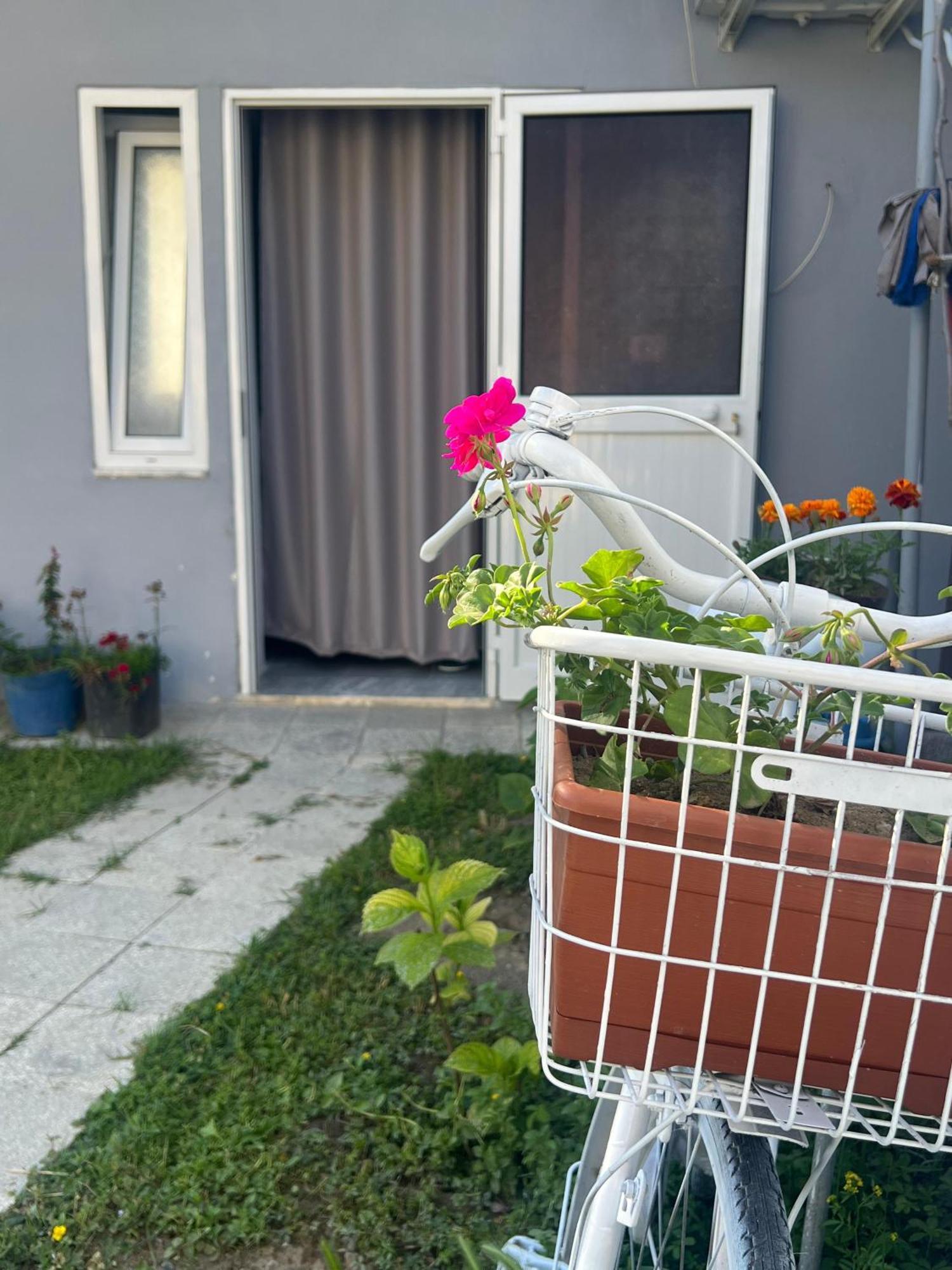 Happy Corner Guest House Shkodër Dış mekan fotoğraf